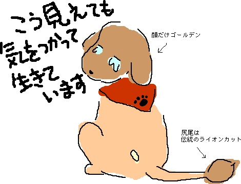 ���낢�딭�o