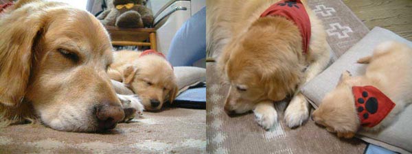 �͂��߂܂���