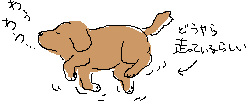 �n�����錢