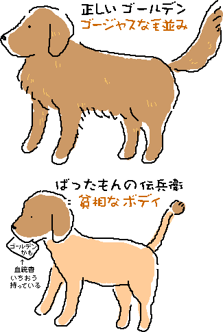 �ъ���̔g��