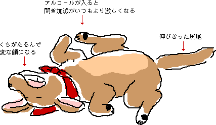 �H�̖�Ɠ`���q