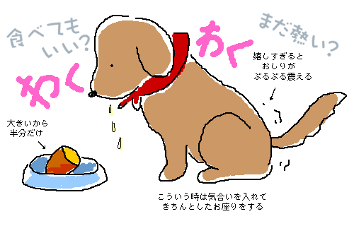 ����͂���2