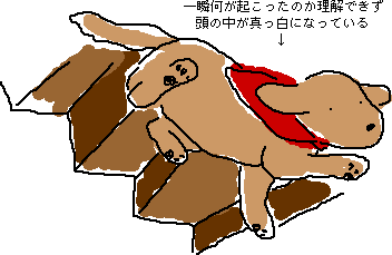 �K�i����