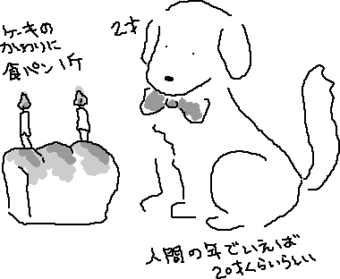 ���a����