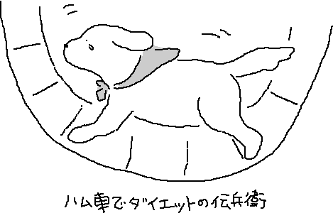 �S�[���f���Ⴂ