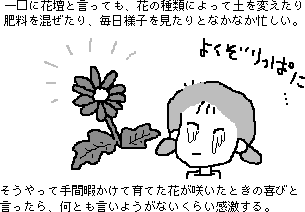 �ЂȂ��̔���