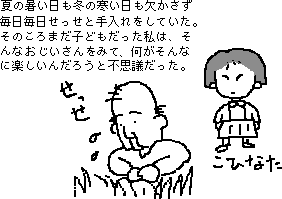 �ЂȂ��̔���