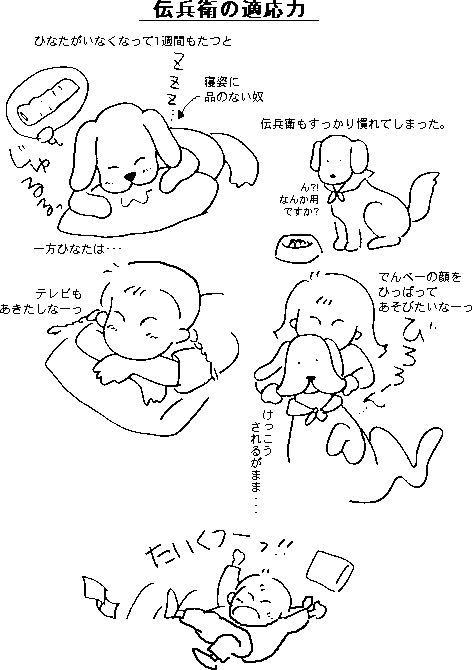 �`���q�̓K����