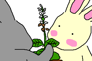 �`���q�Ƃ������N 