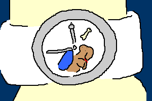 �����̏o����