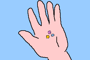 �����̏o����